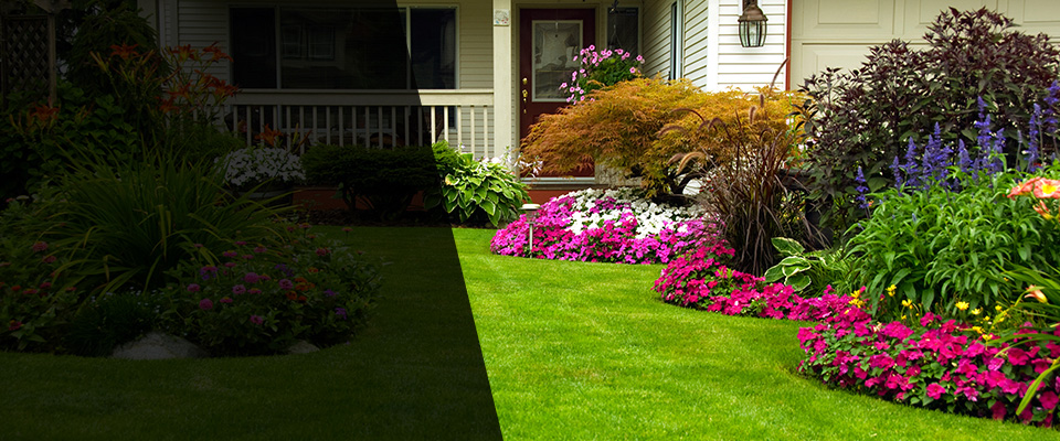 Liberal Landscapers
