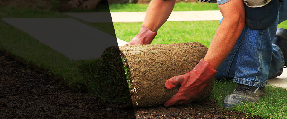 Liberal Landscapers